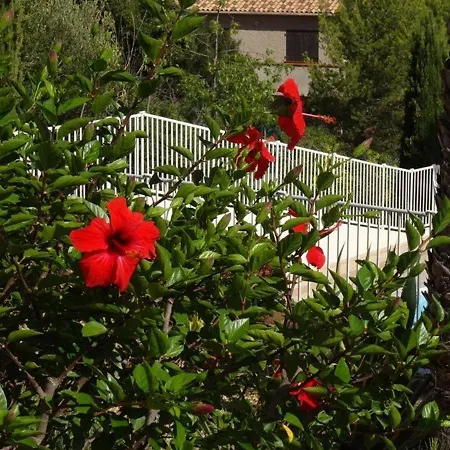 Appartamento T2 à Giens Avec Grande Terrasse, Piscine Et à Proximité Des Plages - Fr-1-335-160