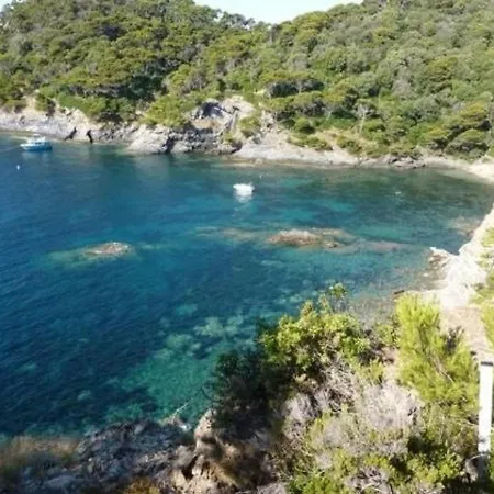 Apartment T2 A Giens Avec Grande Terrasse, Piscine Et A Proximite Des Plages - Fr-1-335-160